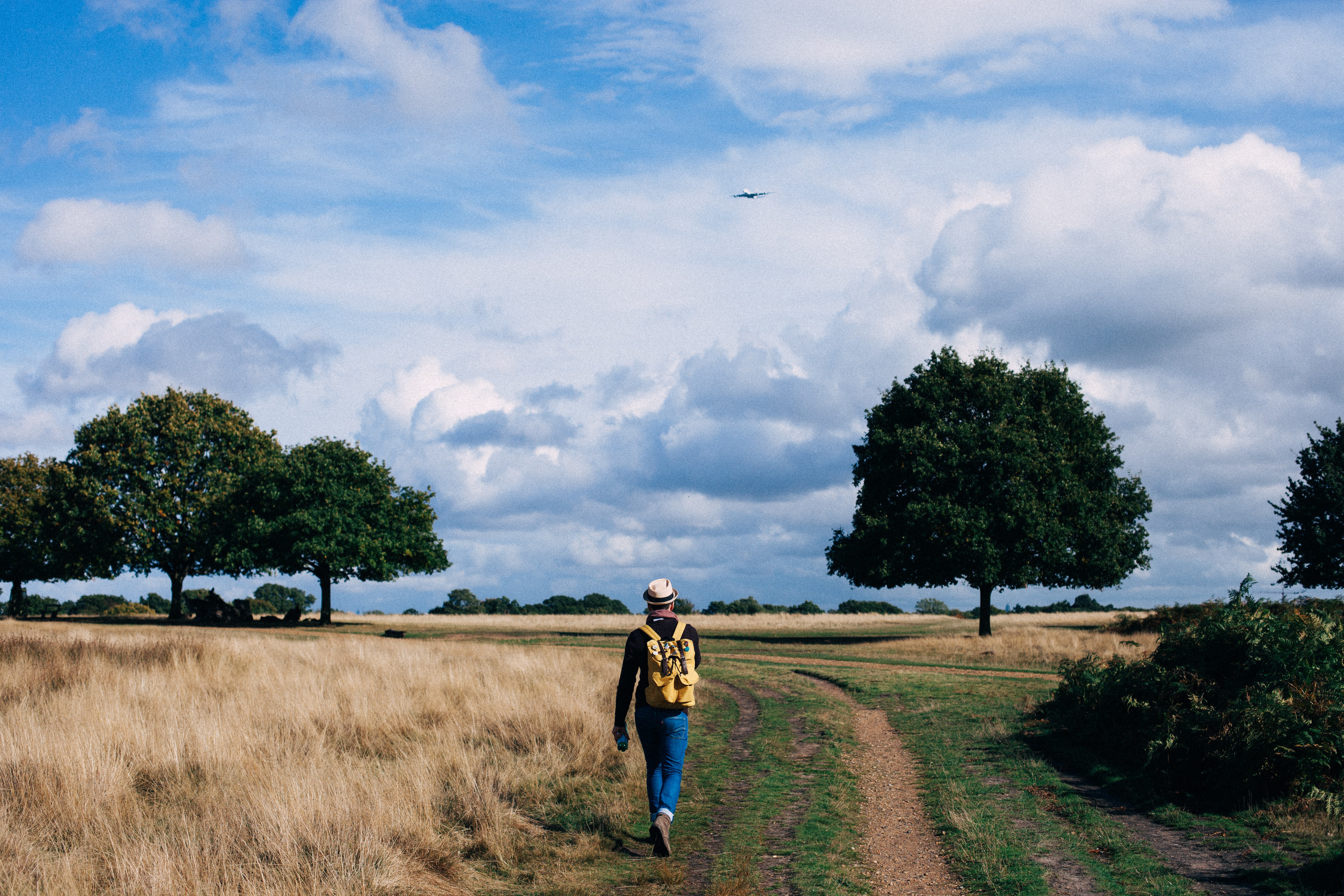 Maak een dagelijkse wandeling
